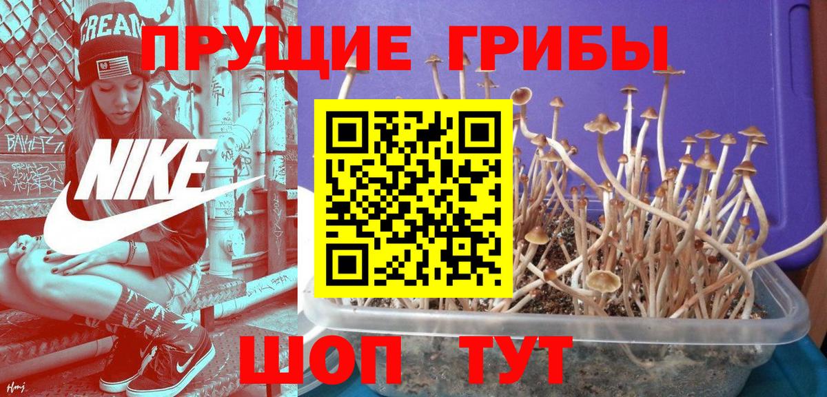 Галлюциногенные грибы мухоморы  Вход с VPN  Тихорецк 